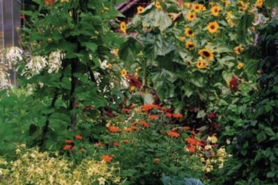 Garden Notes: June 17, 2026